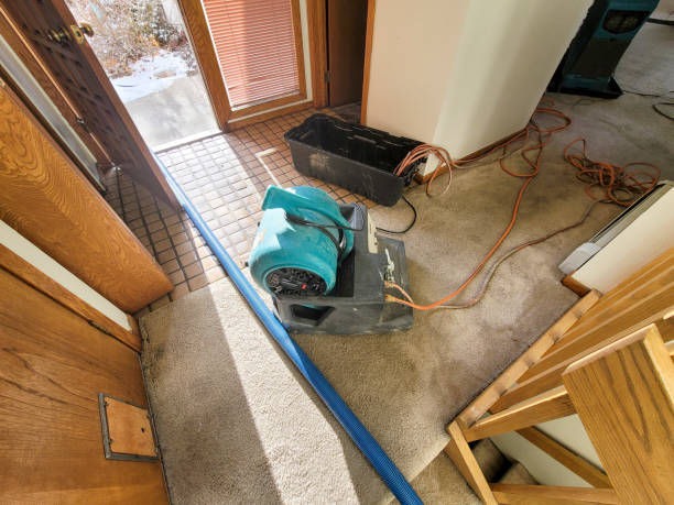 Carpet water damage restoration